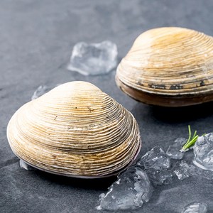 [로켓프레시] 바다자리 국산 생물 개조개 (냉장)