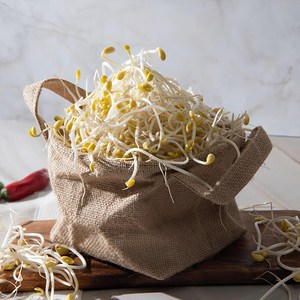 친환경 국산콩 콩나물 2kg 무농약 아삭한 간편조리 콩나물, 1개, 2kg