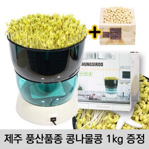 청시루 콩나물재배기 일반형국내용 콩나물콩1kg증정, 1개
