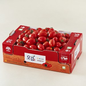 충남오감 세도농협 GAP 인증 대추방울토마토