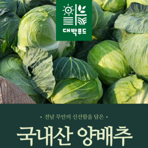 [대박푸드] 국내산 무안 황토 껍질없는 양배추 (1kg, 2kg ,3kg , 6kg) 이내