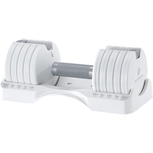 바이줌 5단 무게조절 덤벨, 5.6kg, 1개