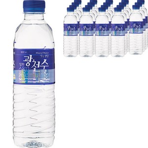 광천수 500ml 20페트 탕비실 가성비 간식 비품, 20개, 500ml