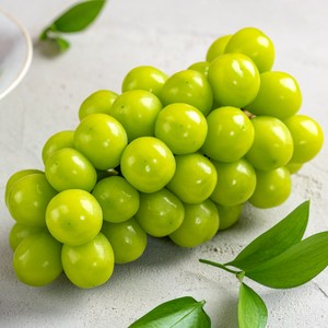 스윗쿡 과일앤 당도선별 샤인머스켓 포도