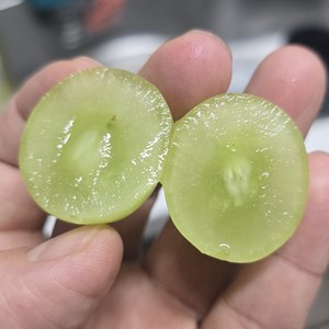 [디어메딕] 프리미엄 고당도 애플청포도 씨없는 포도