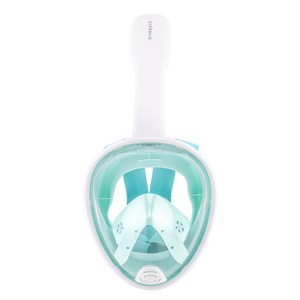 다이비프로 익스트림 풀페이스 스노쿨링 마스크, 그린