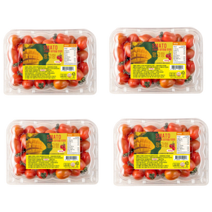 [스마토스테비아] 과즙팡팡 감출수없는 풍미 스테비아 대추방울 토마토 망고향, 1박스, 2kg(500g 4팩)