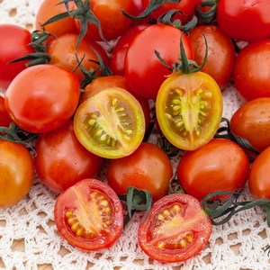 [오늘의 토마토] 망고향 고당도 스테비아 대추방울토마토 당도보장 프리미엄 과일토마토, 1개, 2kg