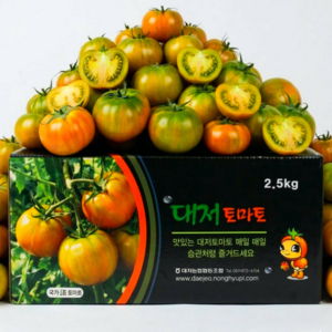 [하루특가] 시장특판가 우수농가 부산 대저 짭짤이토마토
