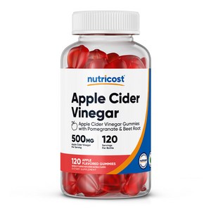 애플 사이다 비니거 500mg 120구미 1병, 120회분, 1개