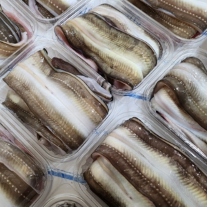 통영 자연산 특대 바다장어 2~3미 손질 구이용 뼈 머리 소스2종 포함, 1개, 1kg(손질 후 550g내외)