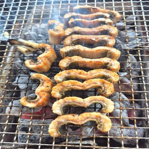 주수산 손질 민물장어 구이용 1kg, 1개, 1kg (손질후 500g내외)