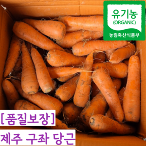 [제주직송] 26년 햇 유기농 친환경 국내산 흙당근 제주 구좌 당근