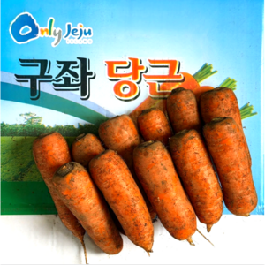 [산지직송] 2025 햇당근 당일출고 제주 구좌당근, 1박스, 10kg (중)