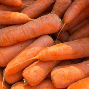 두리네 국내산 햇당근 흙당근