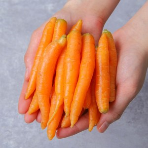 미니 스낵당근 베이비당근