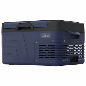 아이스트립 실속형 차량용 냉장고 화물차 캠핑 휴대용 대용량 가정용 차박 냉동고, 차량용, 10L